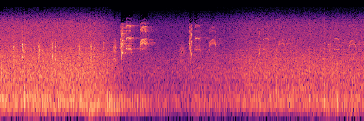 Spectrogram: White-Tailed Ptarmigan